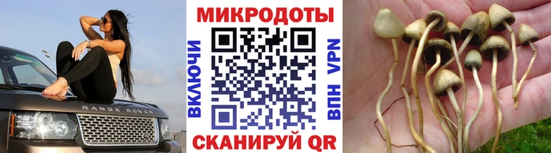 Галлюциногенные грибы прущие грибы  маркетплейс формула  Озёры  купить  сайты 
